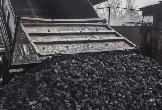 波兰有人买煤炭过冬买到石头 下雨后褪色