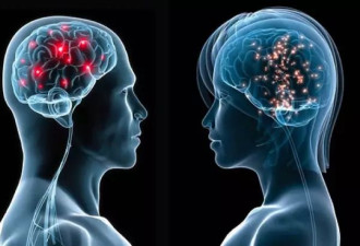 脑科学：科学层面揭露男女思考的区别