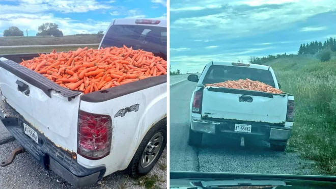 Ontario driver hauling carrots. 