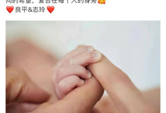 林志玲定居台湾，高龄产子仅半年便复出