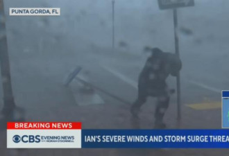 记者直播飓风树枝砸腿 差点被风卷走值吗