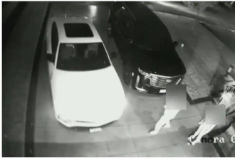 多伦多华人女子5个月内两辆凌志汽车遭窃