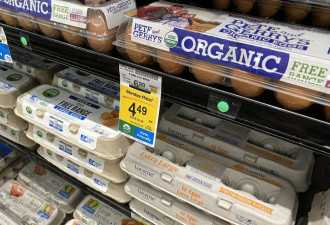 惊爆！加拿大各地禽流感病例飙升！超市鸡肉和鸡蛋恐要涨价！