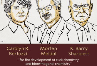 2022年诺贝尔化学奖揭晓 3位科学家获奖