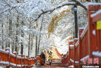 美！深秋来“东方瑞士”阿尔山看初雪