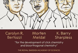 诺贝尔化学奖：将化学带入功能主义时代