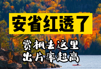 【视频】除了阿冈昆公园 安省私藏“枫”景胜地全推荐
