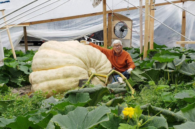 30giantpumpkin(web)