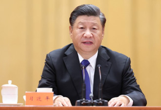 想成为“终身领袖”？这两个将写入党章