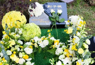 83岁刘子枫在上海安葬 女儿穿素衣