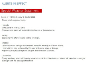 多伦多红色警告！90km/h强风+雷暴马上杀到！小心停电！