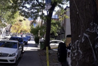 加拿大住宅前惊现一具假尸体吊死树上，邻居吓得报警