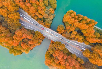 看遍杭州最美秋景在这5个地方 秒出大片