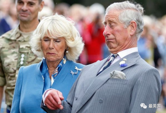 威廉成王室首富！查尔斯每年给他70万镑