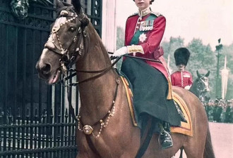 英国国王查尔斯将出售已故女王的12匹顶级赛马