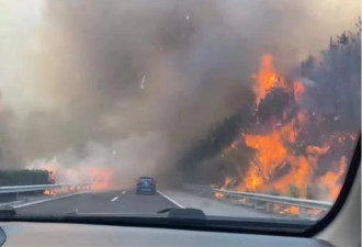 广西桂林火烧高速公路气势惊人 仅部份控制