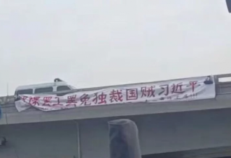 北京四通桥“反习”没落幕 全球街头 社群发酵