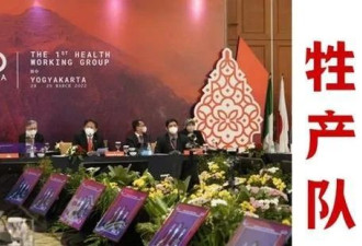 印尼将在G20峰会上展示雅万高铁，意味着什么？