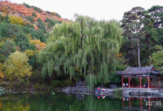 北京香山公园：山峦披彩衣 秋景美如画