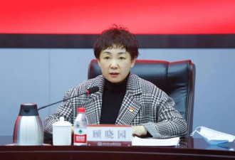 北京第二外国语学院原党委书记顾晓园被查
