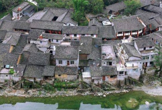 中国一座低调的古镇 因一棵千年古树出名