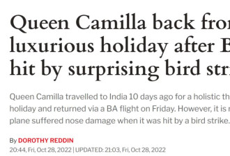 英媒：英王后卡米拉所乘飞机着陆时遭鸟撞击