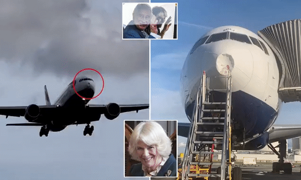英国王后所乘飞机着陆时遭鸟撞击！现场视频曝光：机头处凹陷明显