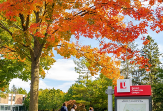 太难了！约克大学小哥发帖：从未谈过恋爱，告白总被拒！