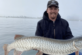 【视频】男子在多伦多港口钓到一米多长的大鱼 重达20磅