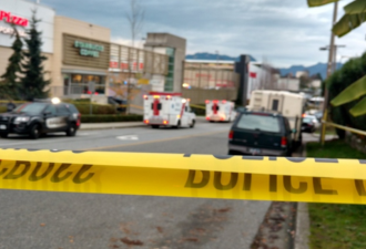 【视频】加拿大男子闯轮胎店抢步枪：挟持顾客刺伤警员 ！