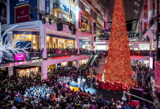 多伦多这家地标商场突然宣布：今年不会摆放圣诞树
