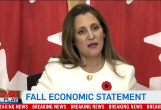 加拿大秋季经济报告要点 低收入工人和学生有新福利