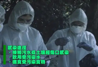 全港戒备！香港突发一种新传染病已致7死