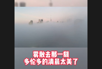 【视频】多伦多连日大雾 影像全记录清晨云海美景