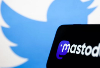 马斯克收购推特 平台“长毛象”是个啥？