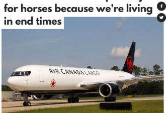 加拿大航空宣布推出一项新服务运输这类乘客