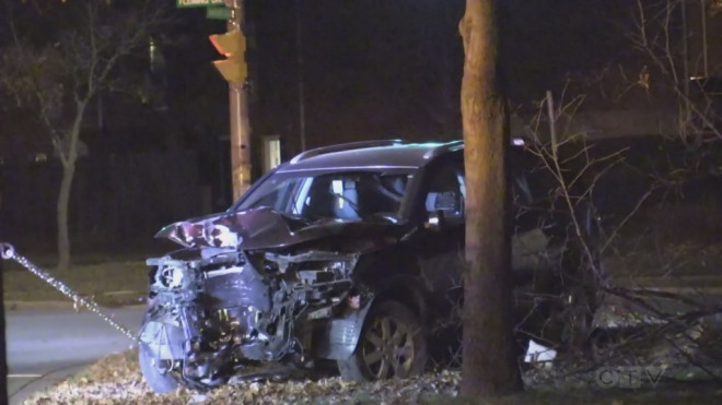 A single vehicle crash involving a tree on Nov. 8, 2022. (Daryl Newcombe/CTV News London)