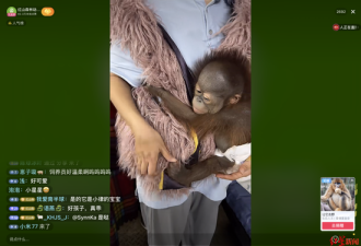 南京红山动物园直播筹款：穷得揭不开锅了