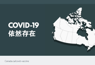 加拿大首席公共卫生官11月10日疫情通报