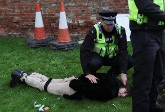 男子向英国国王夫妇扔鸡蛋 被警方扣留