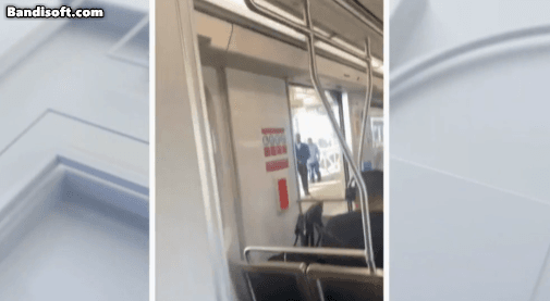 疑似辱骂歧黑人,地铁上亚裔男遭群殴