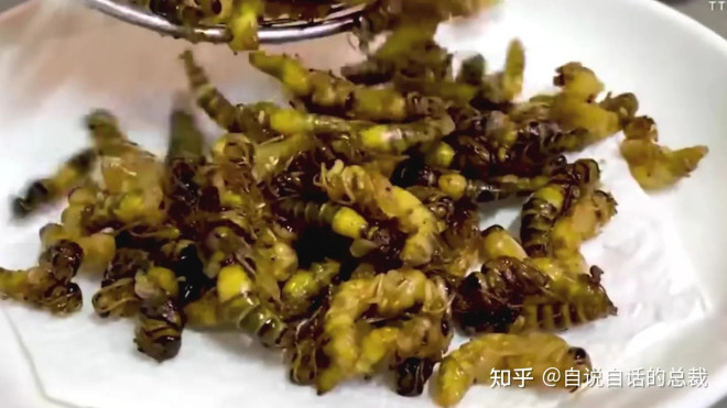 入侵海外的魔王，竟是云南人的宠物？三针蛰死牛，却被大量养殖？ - 知乎