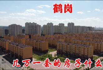 “鹤岗化”可能是中国大部分中小城市命运