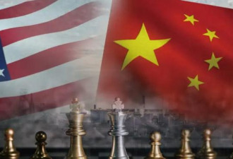 美国倒逼，中国未来会有一场豪赌？