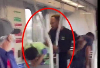 亚裔男洛杉矶地铁被2非裔暴打跪地求饶