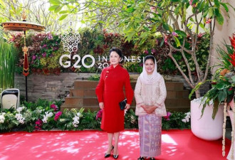夫人彭丽媛出席G20领导人峰会配偶活动