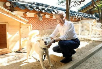 金正恩送的狗 也卷入了韩国的政治漩涡？