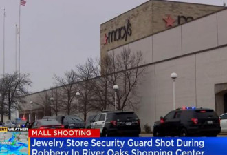 芝加哥郊区购物中心爆枪击 警卫中弹不治