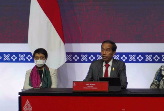 印尼审慎维安防疫，G20顺利落幕！