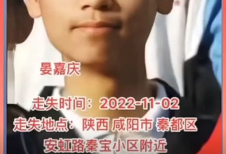 中国青少年失踪案例激增 器官移植生意？